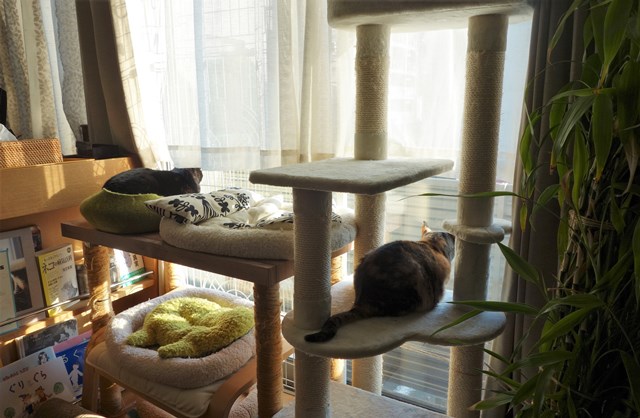 f:id:hiraryo0201:20181229122024j:plain f:id:hiraryo0201:20181229122024j:plain