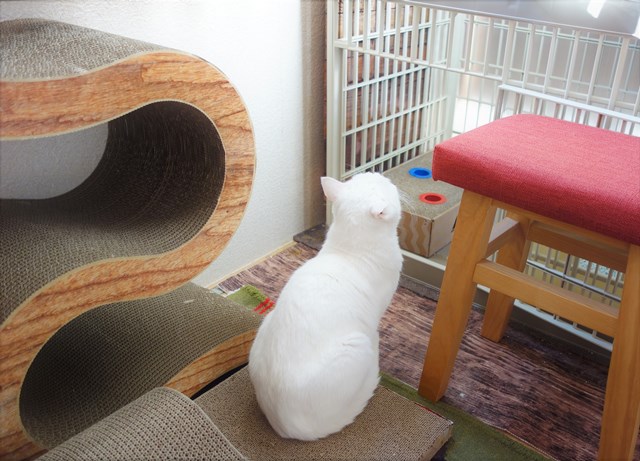 f:id:hiraryo0201:20181229122135j:plain f:id:hiraryo0201:20181229122135j:plain