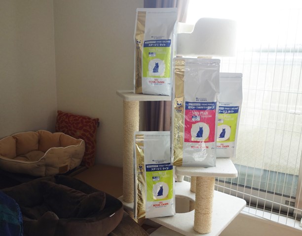 f:id:hiraryo0201:20181229123040j:plain f:id:hiraryo0201:20181229123040j:plain