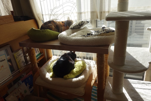 f:id:hiraryo0201:20181229123401j:plain