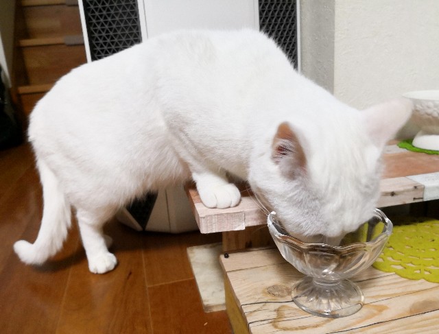 f:id:hiraryo0201:20181230222930j:image