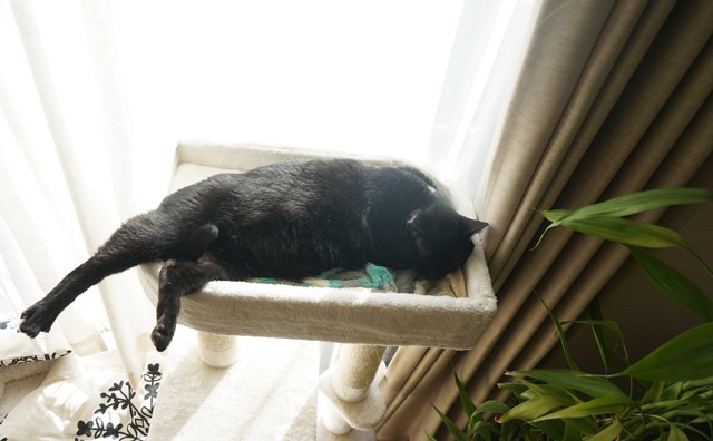 f:id:hiraryo0201:20190106125525j:plain f:id:hiraryo0201:20190106125525j:plain