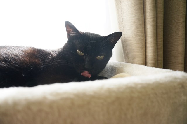 f:id:hiraryo0201:20190106125529j:plain f:id:hiraryo0201:20190106125529j:plain