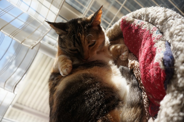 f:id:hiraryo0201:20190106125603j:plain f:id:hiraryo0201:20190106125603j:plain