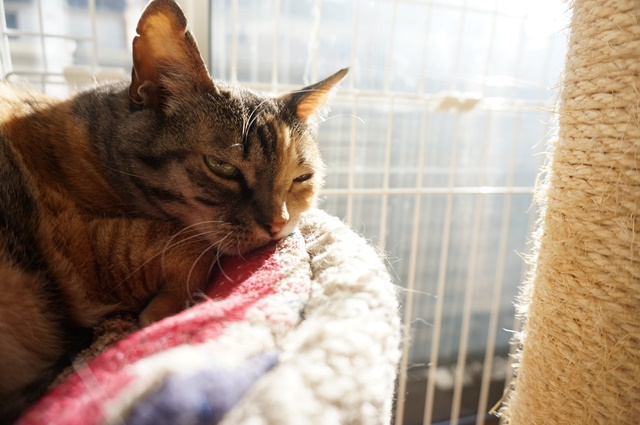 f:id:hiraryo0201:20190106125608j:plain f:id:hiraryo0201:20190106125608j:plain