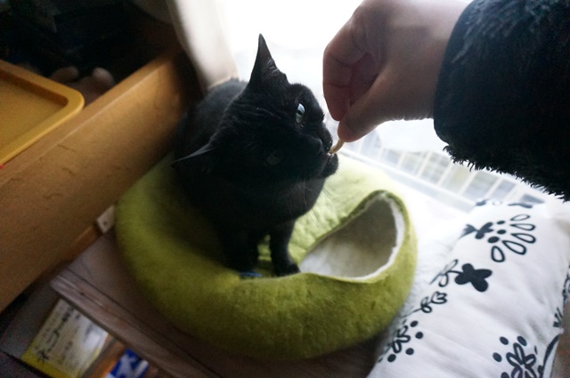 f:id:hiraryo0201:20190106125838j:plain f:id:hiraryo0201:20190106125838j:plain