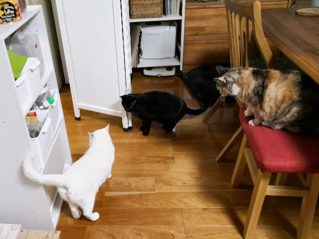 f:id:hiraryo0201:20190106183632j:image f:id:hiraryo0201:20190106183632j:image