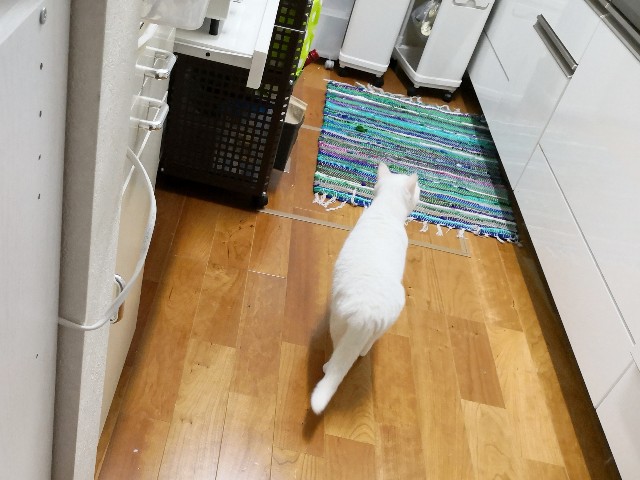 f:id:hiraryo0201:20190106183645j:image f:id:hiraryo0201:20190106183645j:image