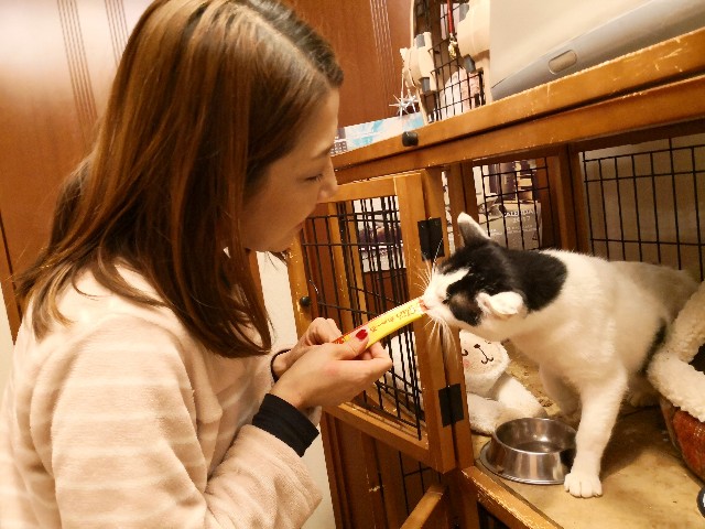 f:id:hiraryo0201:20190112124656j:image f:id:hiraryo0201:20190112124656j:image