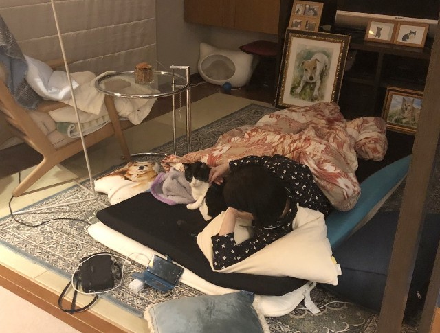 f:id:hiraryo0201:20190112125310j:image f:id:hiraryo0201:20190112125310j:image