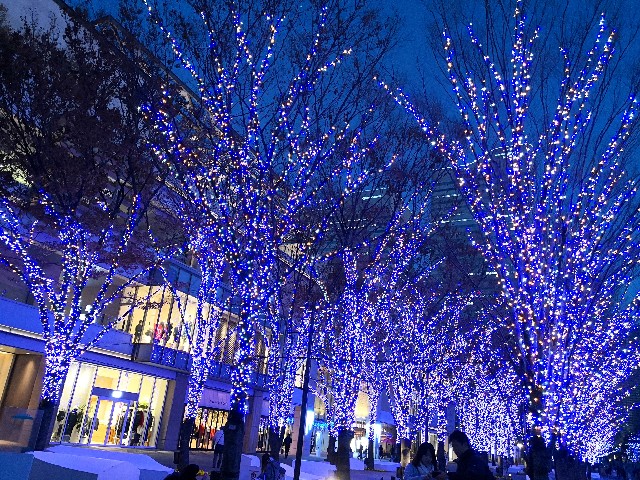 f:id:hiraryo0201:20190115153001j:image