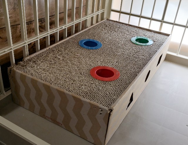 f:id:hiraryo0201:20190120021257j:image f:id:hiraryo0201:20190120021257j:image