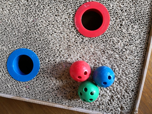 f:id:hiraryo0201:20190120021311j:image f:id:hiraryo0201:20190120021311j:image