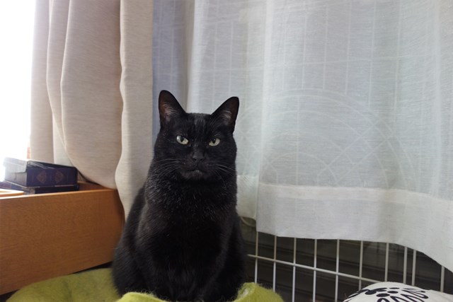 f:id:hiraryo0201:20190120102011j:plain