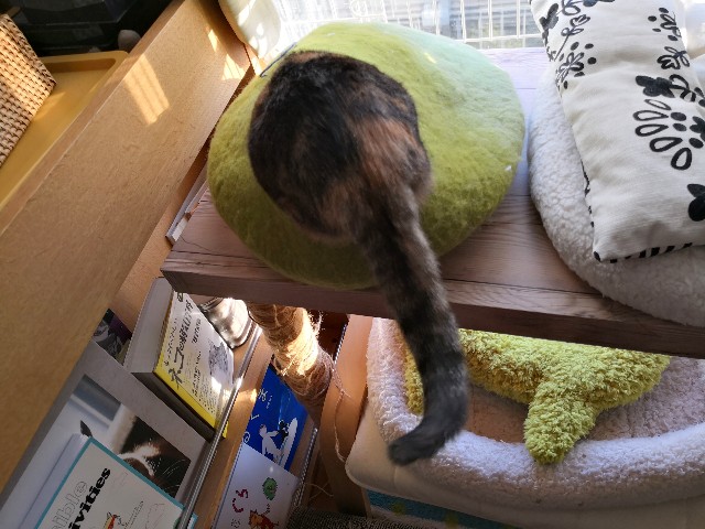 f:id:hiraryo0201:20190120182335j:image