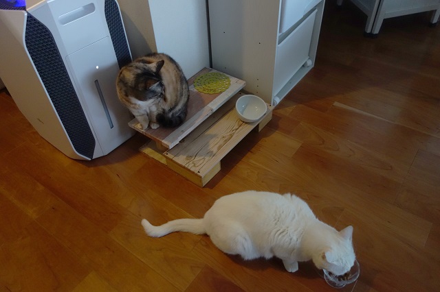 f:id:hiraryo0201:20190203195926j:plain f:id:hiraryo0201:20190203195926j:plain