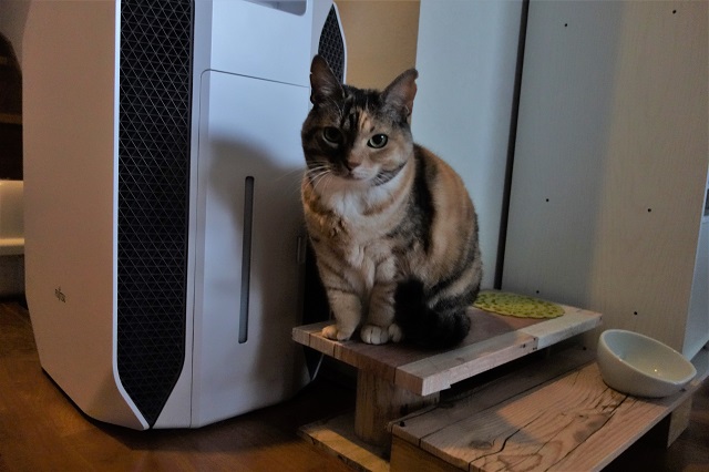 f:id:hiraryo0201:20190203195932j:plain f:id:hiraryo0201:20190203195932j:plain