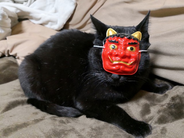 f:id:hiraryo0201:20190203203411j:image f:id:hiraryo0201:20190203203411j:image