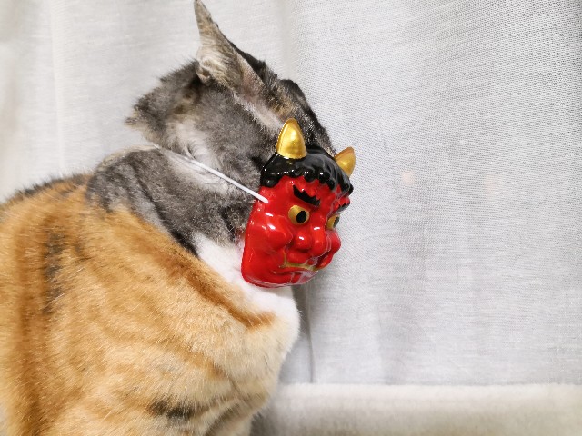 f:id:hiraryo0201:20190203203426j:image f:id:hiraryo0201:20190203203426j:image