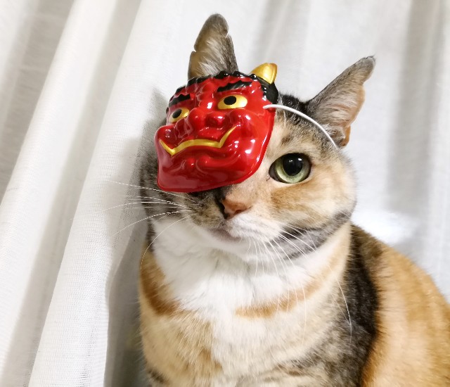 f:id:hiraryo0201:20190203203441j:image f:id:hiraryo0201:20190203203441j:image