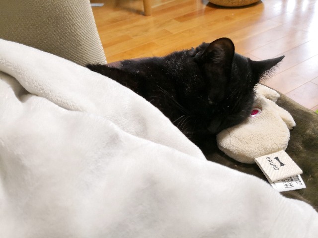 f:id:hiraryo0201:20190211110538j:image