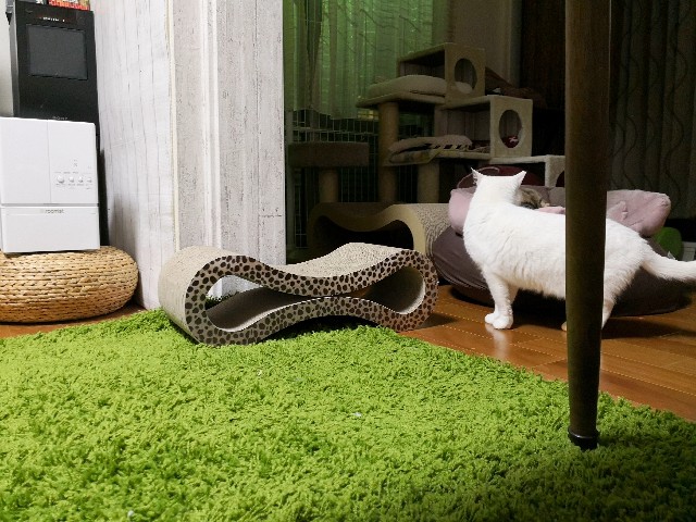 f:id:hiraryo0201:20190212124219j:image f:id:hiraryo0201:20190212124219j:image