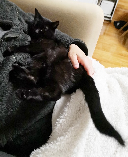 f:id:hiraryo0201:20190223084509j:image f:id:hiraryo0201:20190223084509j:image