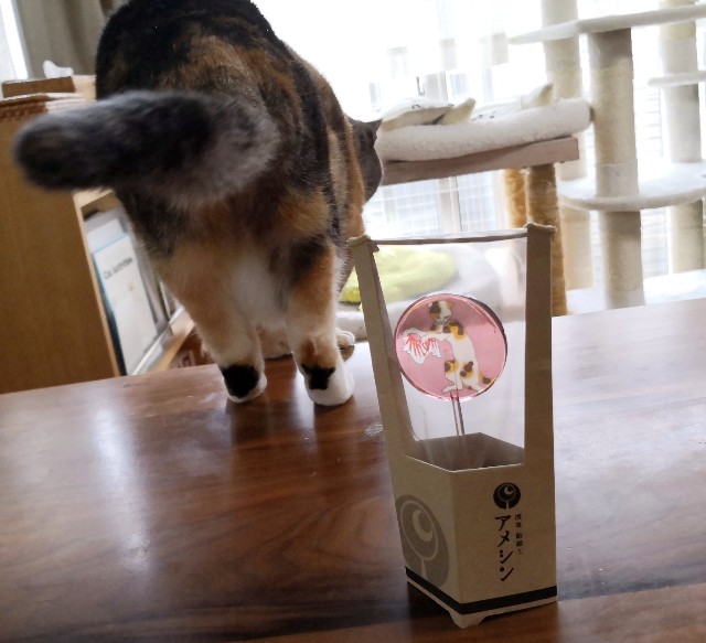 f:id:hiraryo0201:20190227150219j:plain