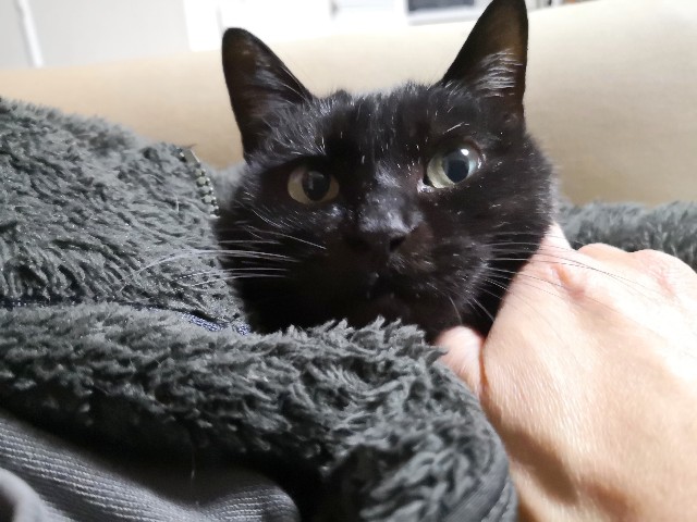 f:id:hiraryo0201:20190227161652j:image f:id:hiraryo0201:20190227161652j:image