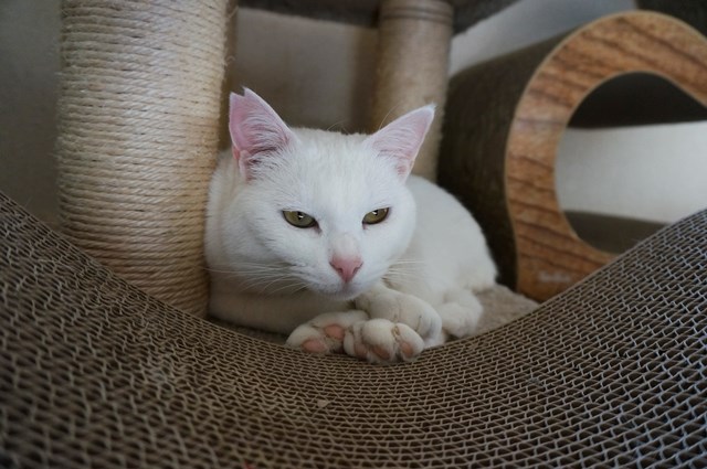 f:id:hiraryo0201:20190227171551j:plain f:id:hiraryo0201:20190227171551j:plain