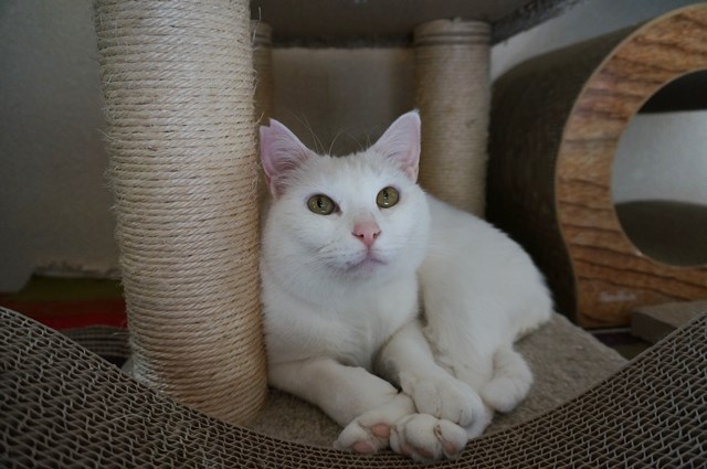 f:id:hiraryo0201:20190227171606j:plain f:id:hiraryo0201:20190227171606j:plain