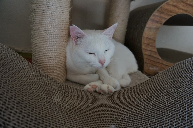 f:id:hiraryo0201:20190227171611j:plain f:id:hiraryo0201:20190227171611j:plain