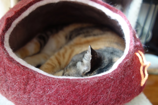 f:id:hiraryo0201:20190321112233j:plain f:id:hiraryo0201:20190321112233j:plain
