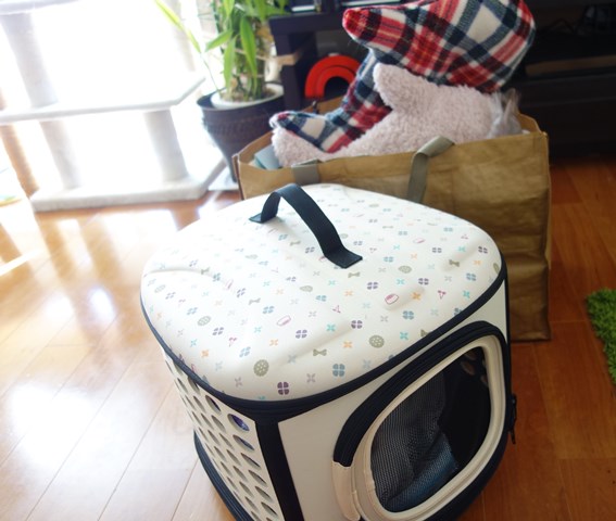 f:id:hiraryo0201:20190321124455j:plain f:id:hiraryo0201:20190321124455j:plain