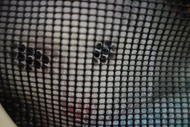 f:id:hiraryo0201:20190321124517j:plain f:id:hiraryo0201:20190321124517j:plain