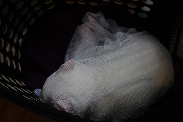 f:id:hiraryo0201:20190321124528j:plain f:id:hiraryo0201:20190321124528j:plain