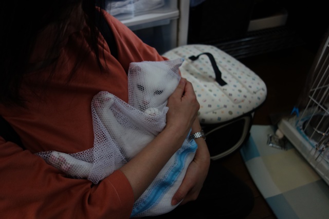 f:id:hiraryo0201:20190321124552j:plain f:id:hiraryo0201:20190321124552j:plain