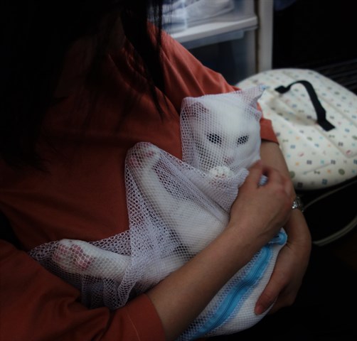 f:id:hiraryo0201:20190321124601j:plain f:id:hiraryo0201:20190321124601j:plain