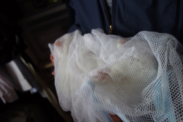 f:id:hiraryo0201:20190321124613j:plain f:id:hiraryo0201:20190321124613j:plain