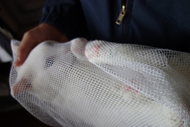 f:id:hiraryo0201:20190321124630j:plain f:id:hiraryo0201:20190321124630j:plain