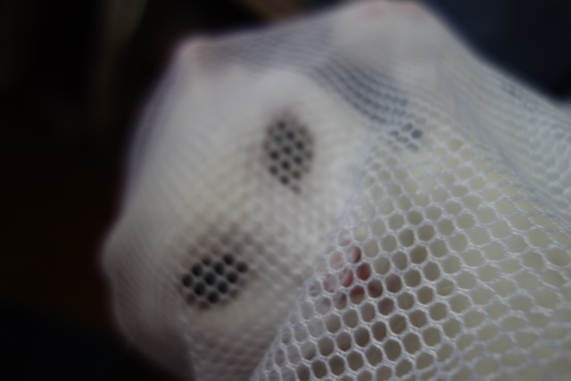 f:id:hiraryo0201:20190321124644j:plain f:id:hiraryo0201:20190321124644j:plain