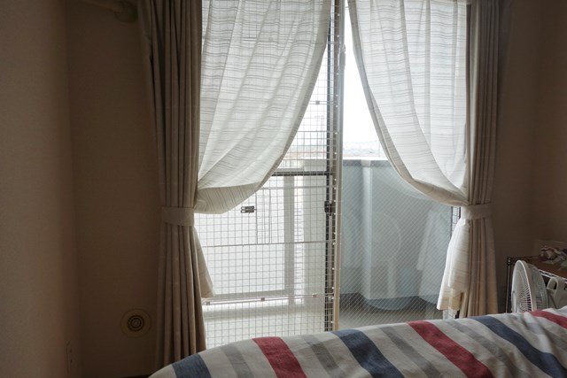 f:id:hiraryo0201:20190321124810j:plain f:id:hiraryo0201:20190321124810j:plain