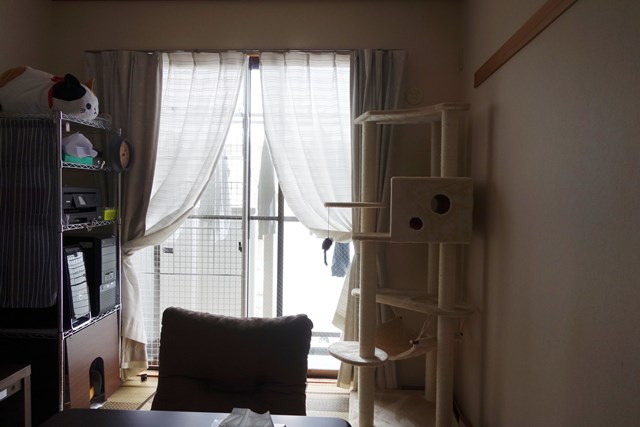 f:id:hiraryo0201:20190321124828j:plain f:id:hiraryo0201:20190321124828j:plain