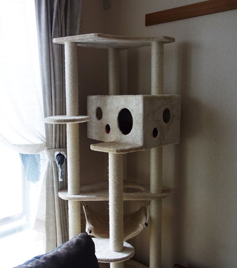 f:id:hiraryo0201:20190321124917j:plain f:id:hiraryo0201:20190321124917j:plain