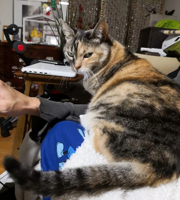 f:id:hiraryo0201:20190322223110j:image f:id:hiraryo0201:20190322223110j:image