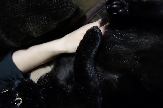 f:id:hiraryo0201:20190331215403j:plain