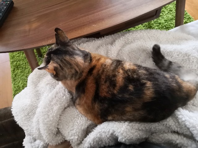 f:id:hiraryo0201:20190422125847j:image f:id:hiraryo0201:20190422125847j:image