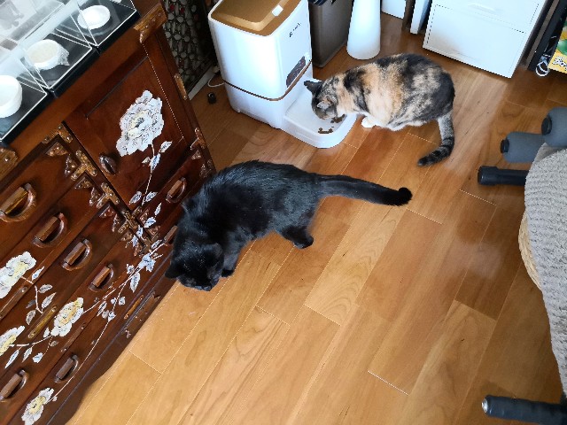 f:id:hiraryo0201:20190422125950j:image f:id:hiraryo0201:20190422125950j:image
