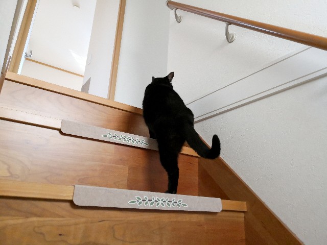 f:id:hiraryo0201:20190422130013j:image