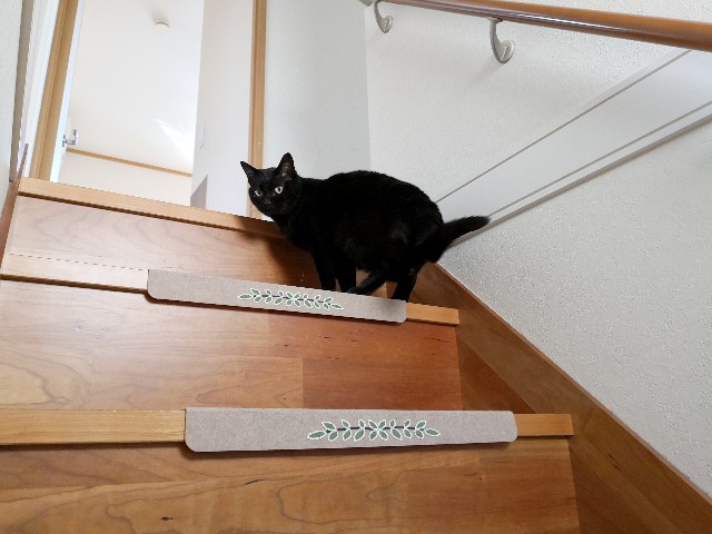 f:id:hiraryo0201:20190422130028j:image